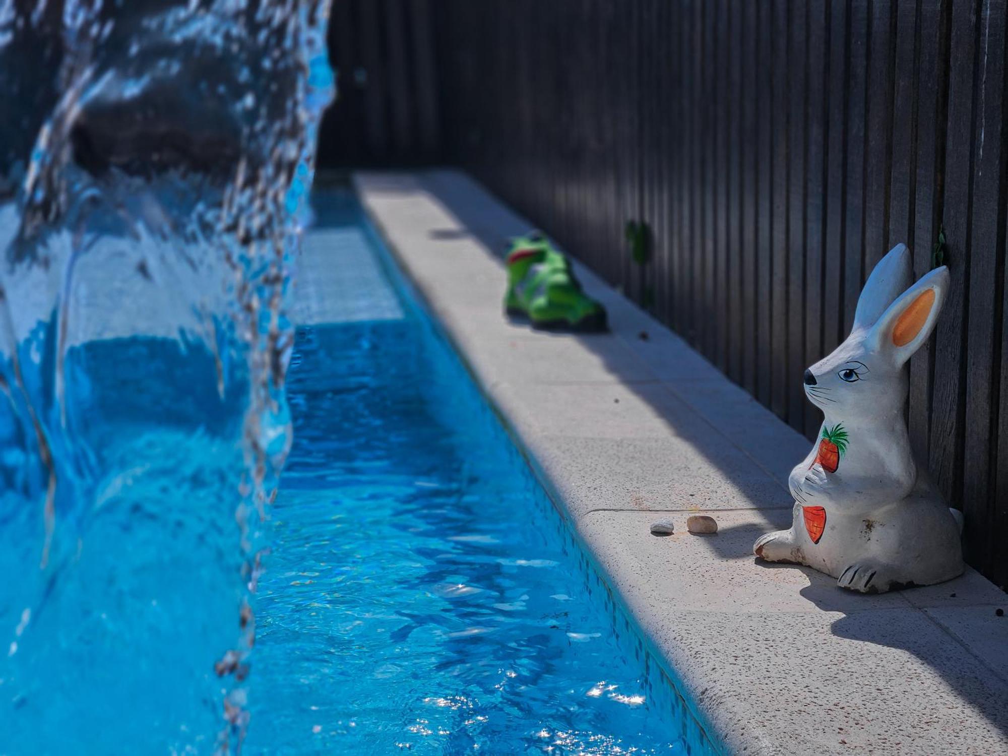 Готель Bella Vista Ocean View Армасан-душ-Бузіус Екстер'єр фото A bunny watering can